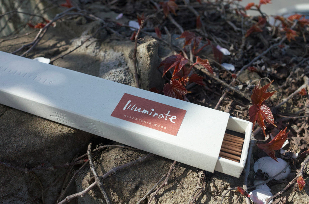 Illuminate | Acronychia Wood Incense