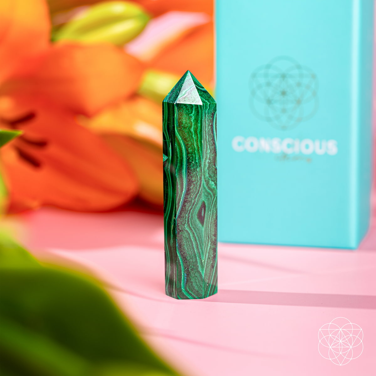 A medium size Malachite Phoenix Point