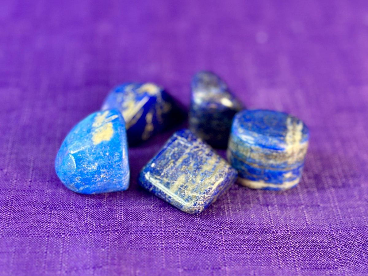 Five polished lapis lazuli crystal chips in various shapes, showcasing deep blue and gold banding, arranged on a textured purple fabric background.