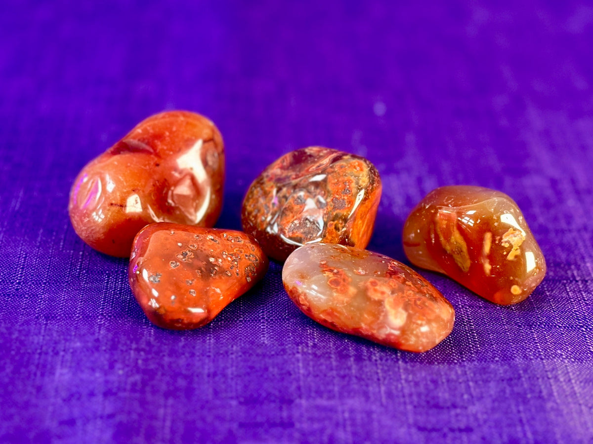 Five polished tumbled gemstones in warm orange, red, and translucent tones arranged on a textured purple fabric background.