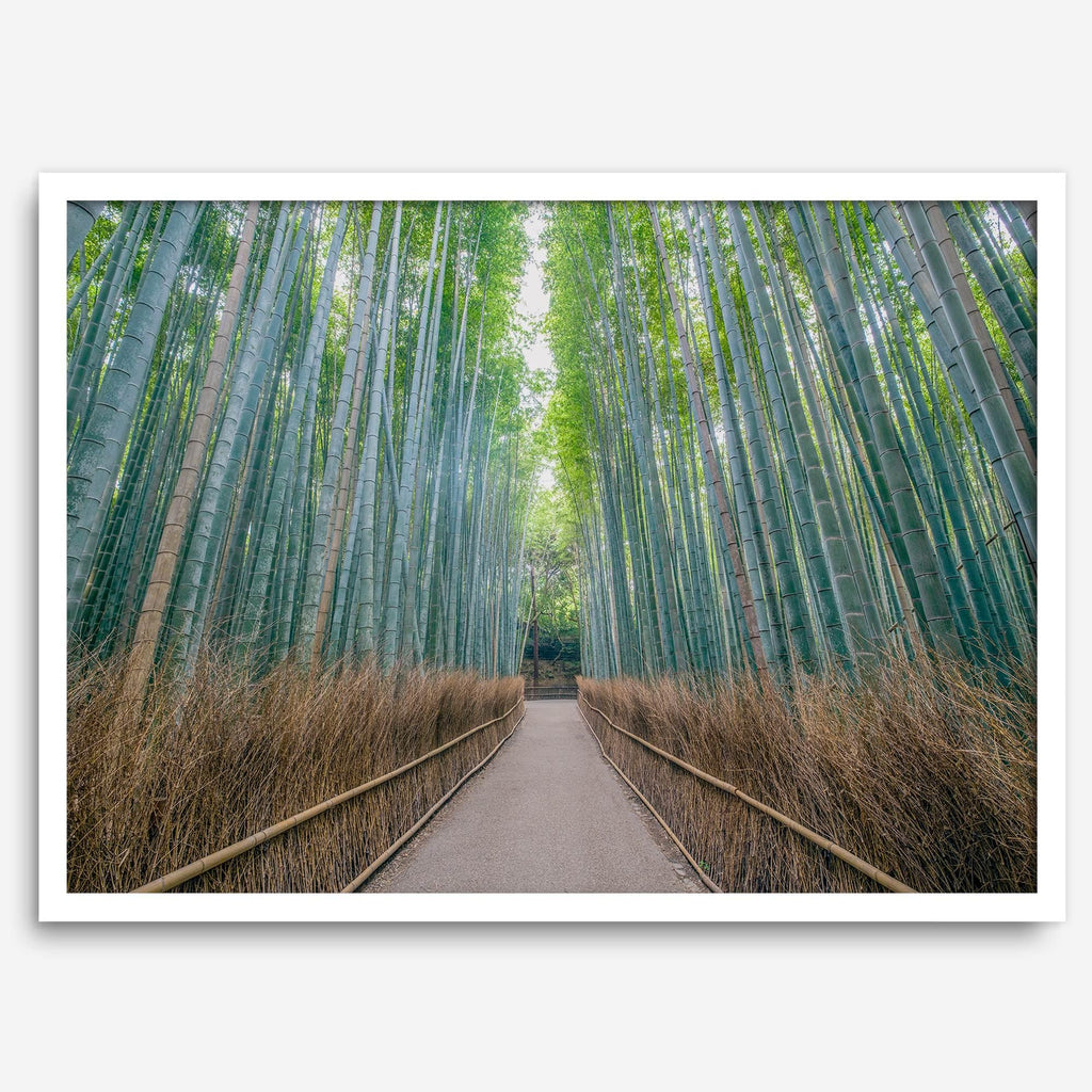 Zen Corridor