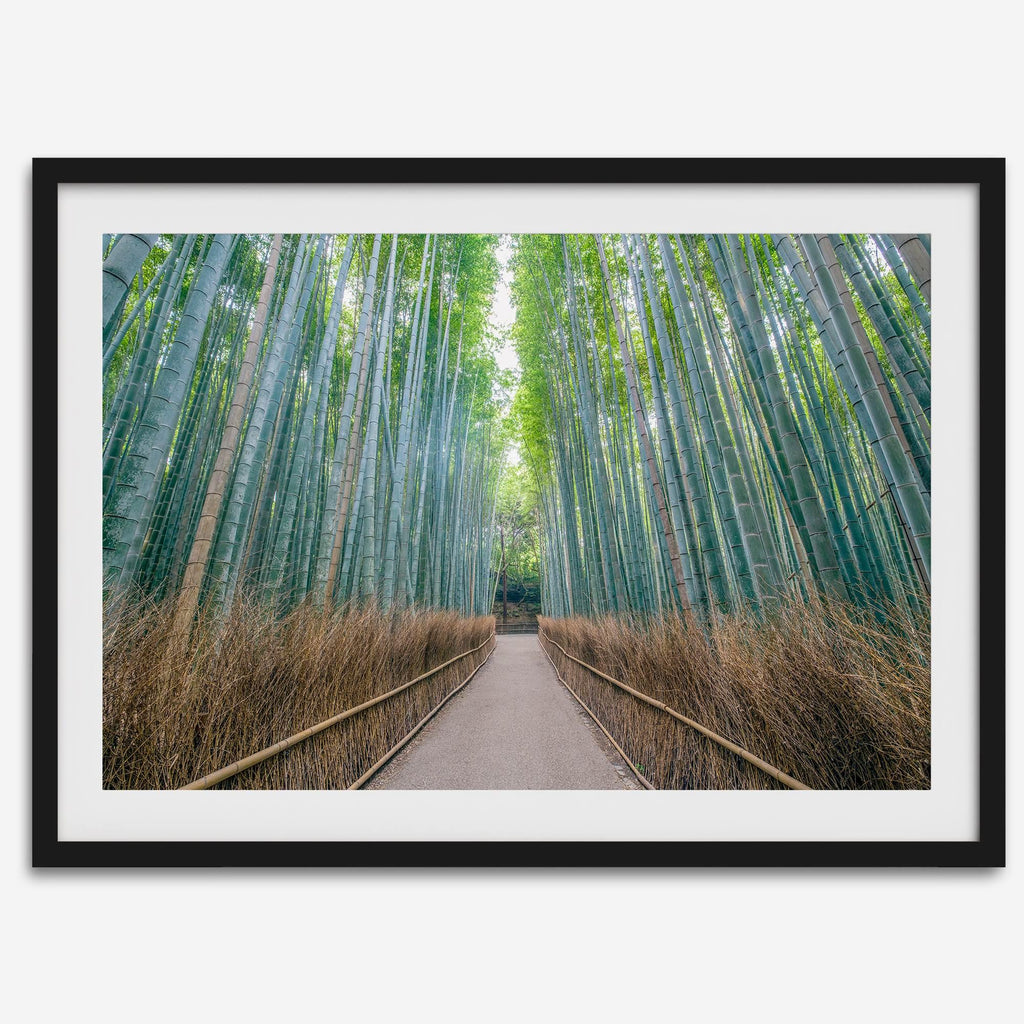 Zen Corridor