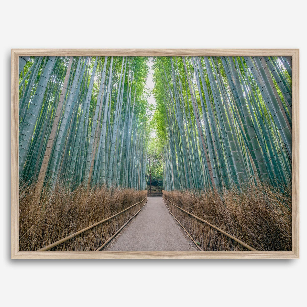 Zen Corridor