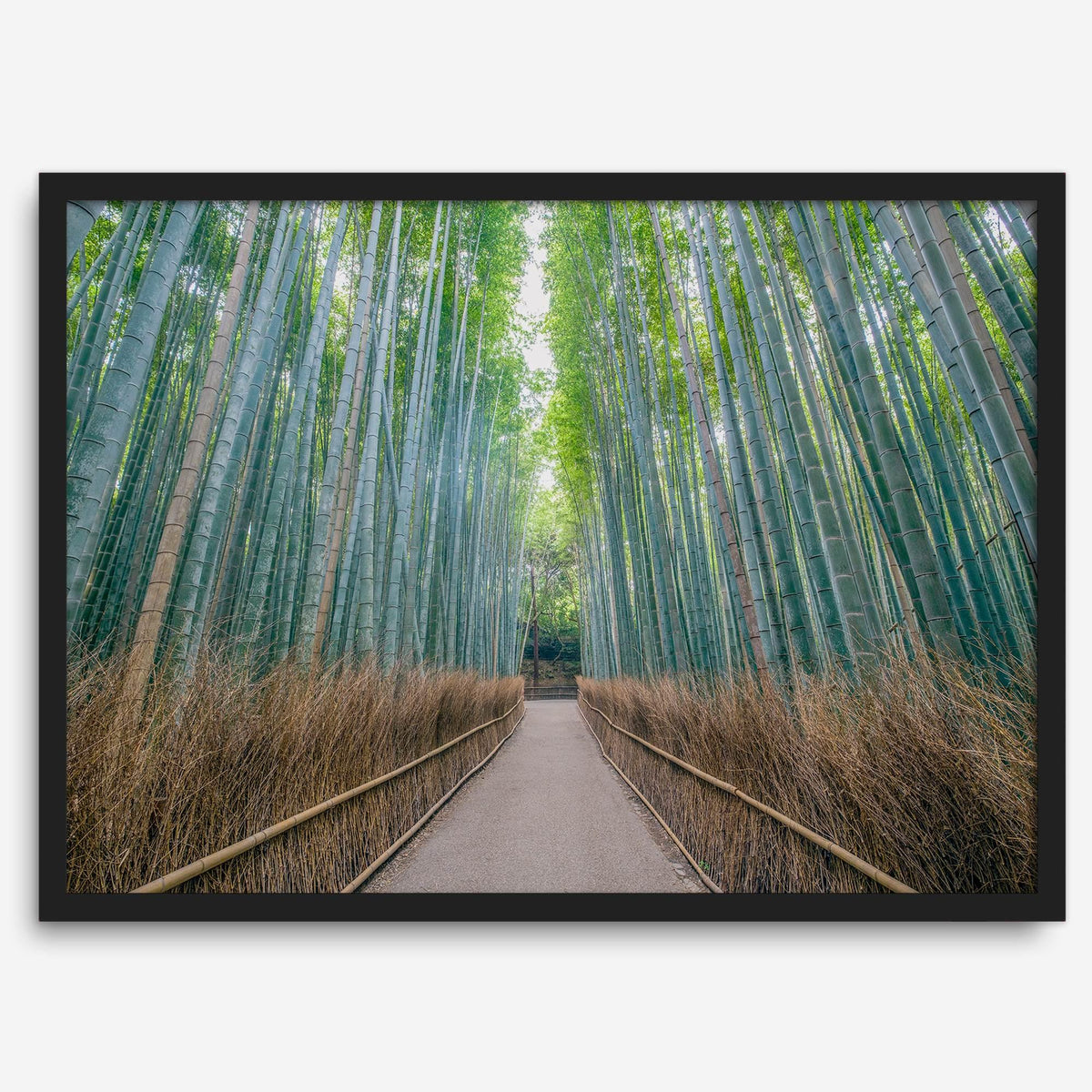 Zen Corridor