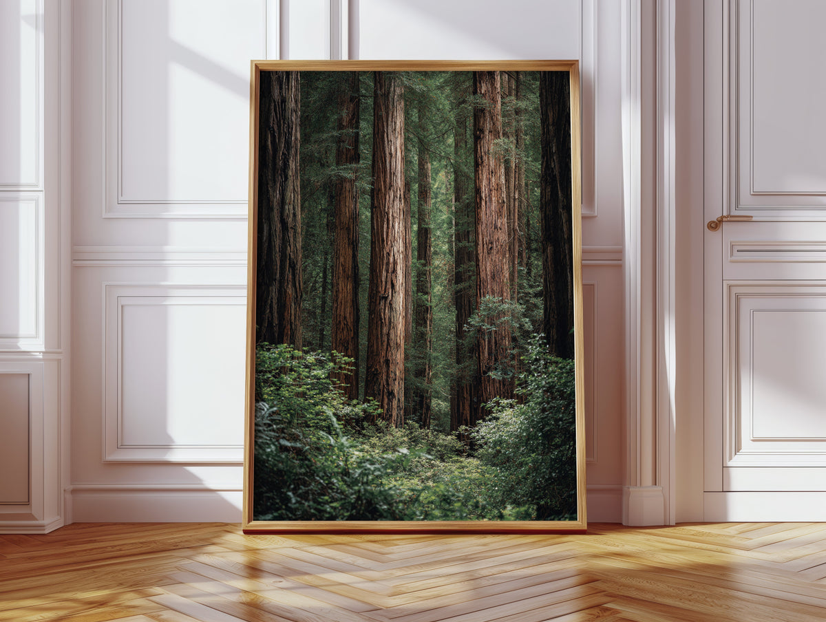 Framed photograph of a forest scene on a wall in a room with wooden floor and white walls.