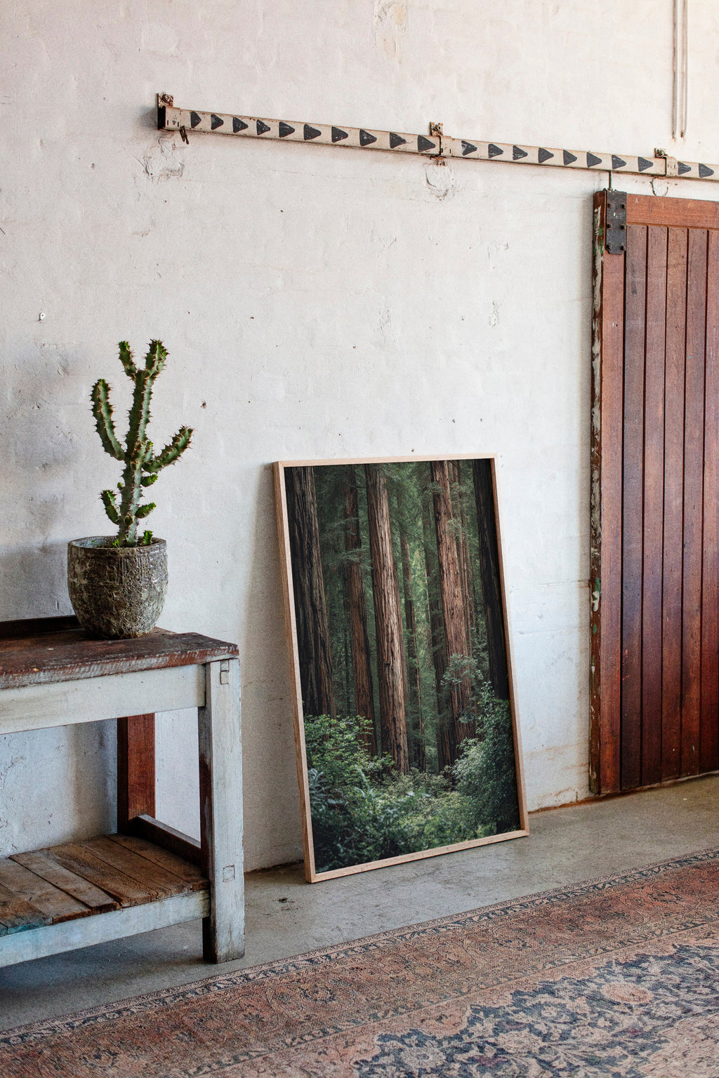 Room interior with a potted cactus on a wooden table, a framed forest picture on the wall, and a wooden door.
