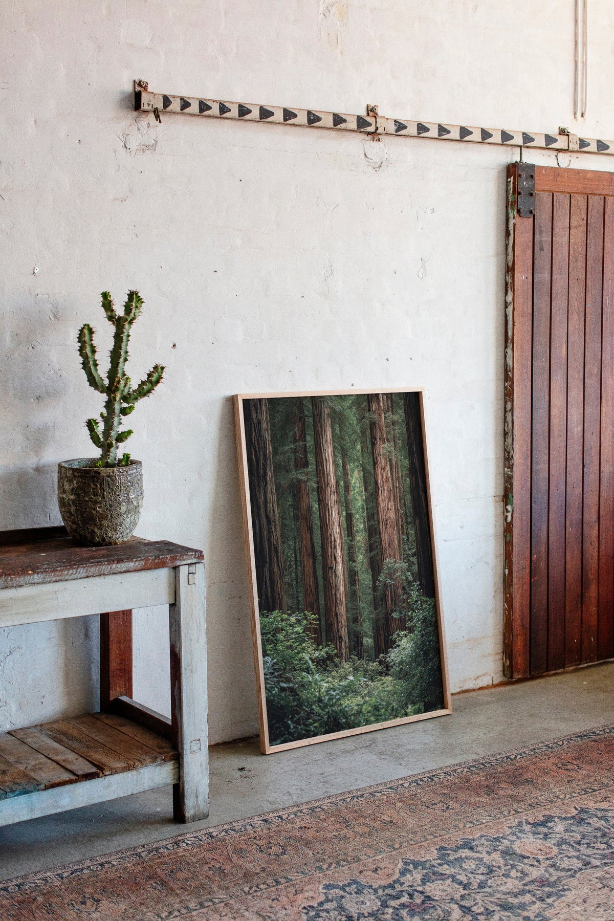 Room interior with a potted cactus on a wooden table, a framed forest picture on the wall, and a wooden door.