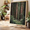 Framed nature print of a forest scene in a living room setting with plants and books.
