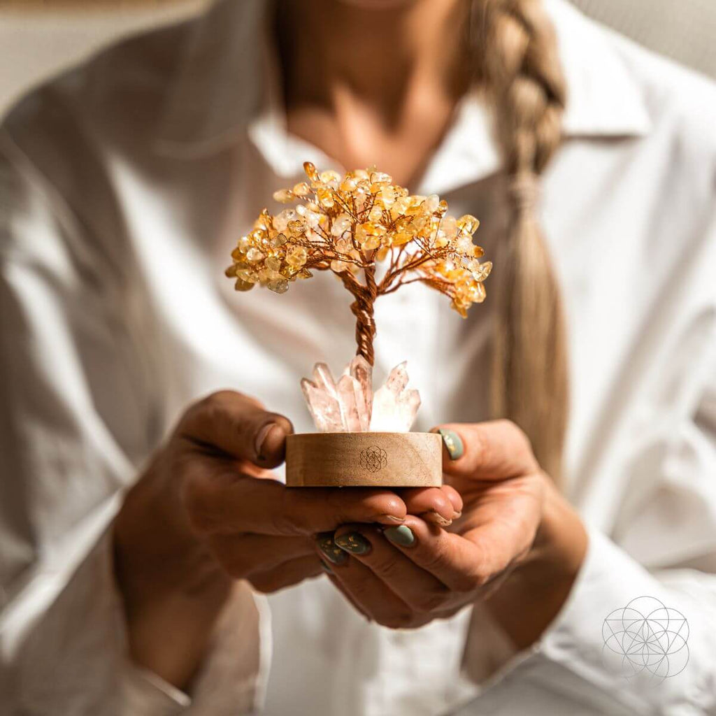 A person holding a Golden Lamp of Wealth - Citrine Tree in front of them.