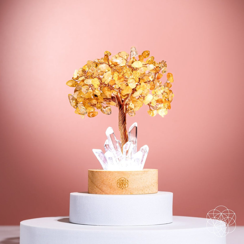 Golden Lamp of Wealth - Citrine Tree on a white platform and a pink wall.