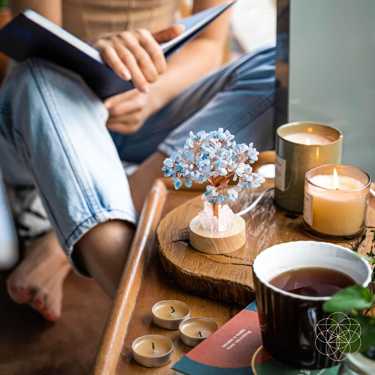 Person reading a book with a small tree decoration and candles on a wooden table.