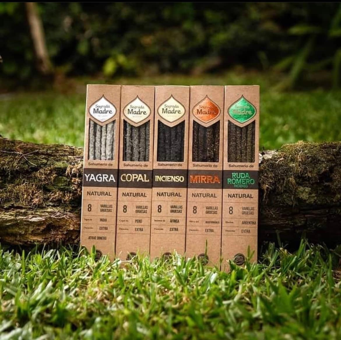Resin Incense Collection