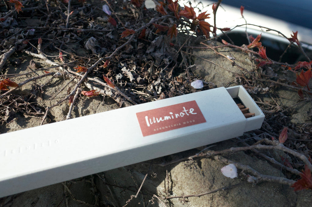 Illuminate | Acronychia Wood Incense
