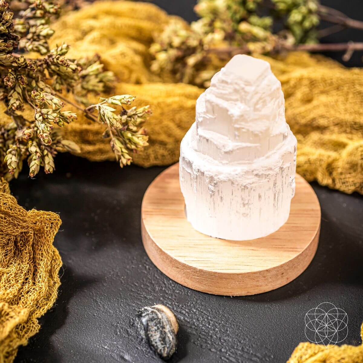 Crystal lamp on a wooden base with natural elements on a dark surface