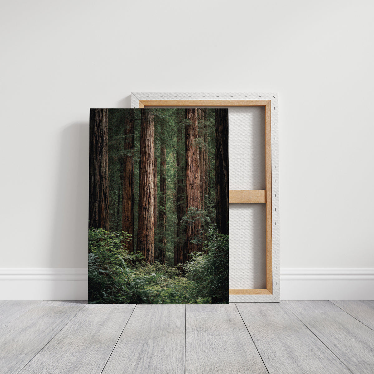 Framed photograph of a forest scene on a white wall.