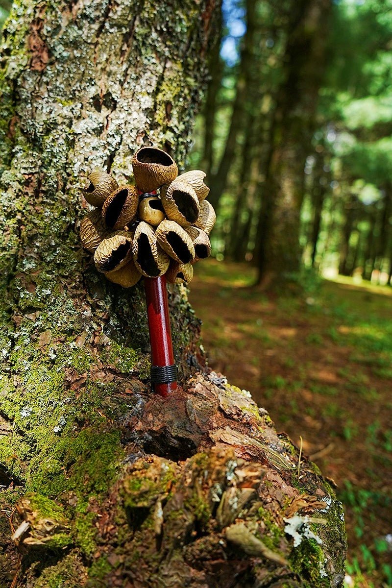 Red pen with a brown cap attached to a tree in a forest setting