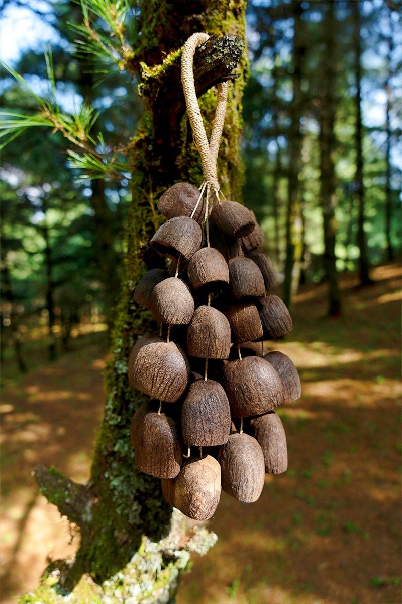 Wooden bells hanging from a tree in a forest setting