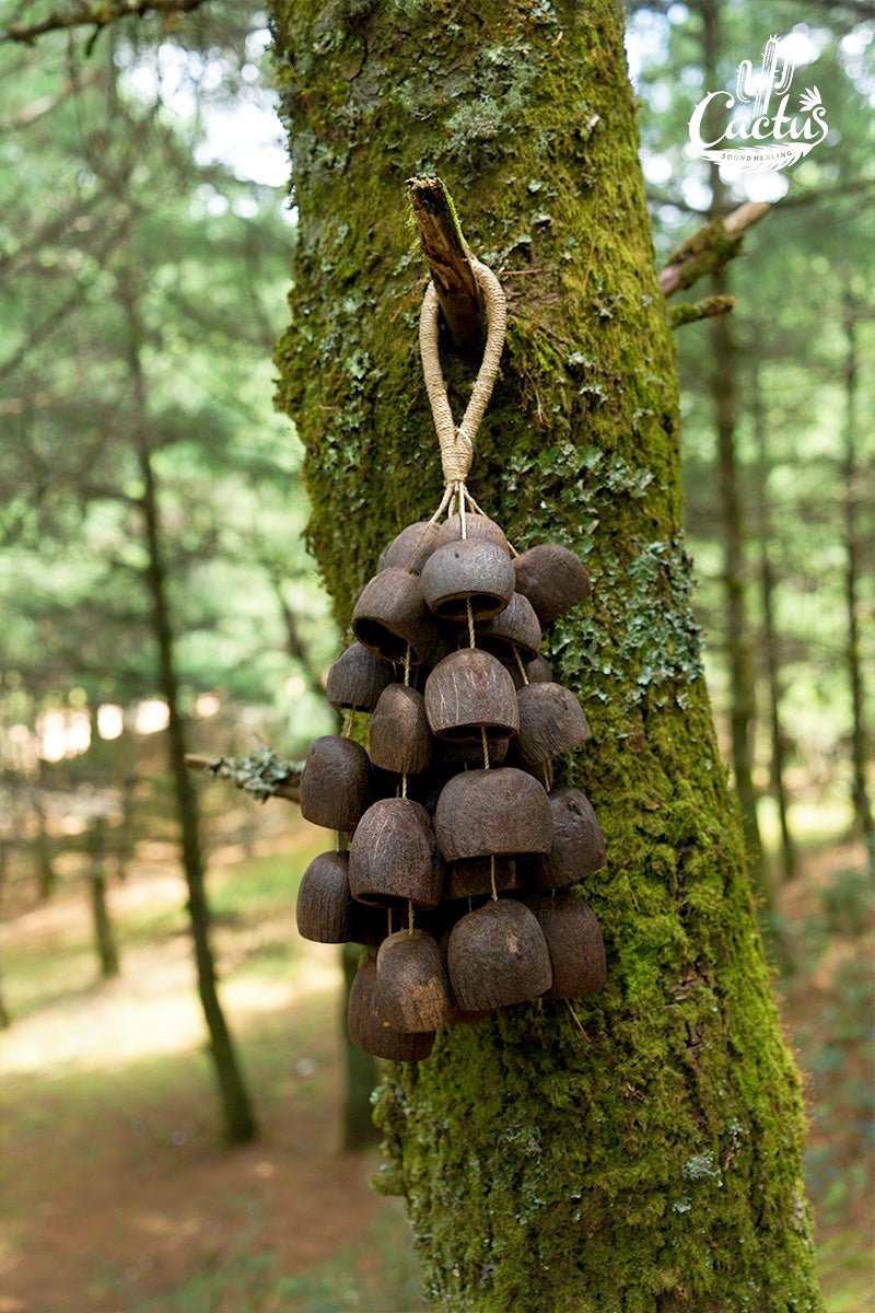 Decorative hanging object made of wooden bells on a tree in a forest setting