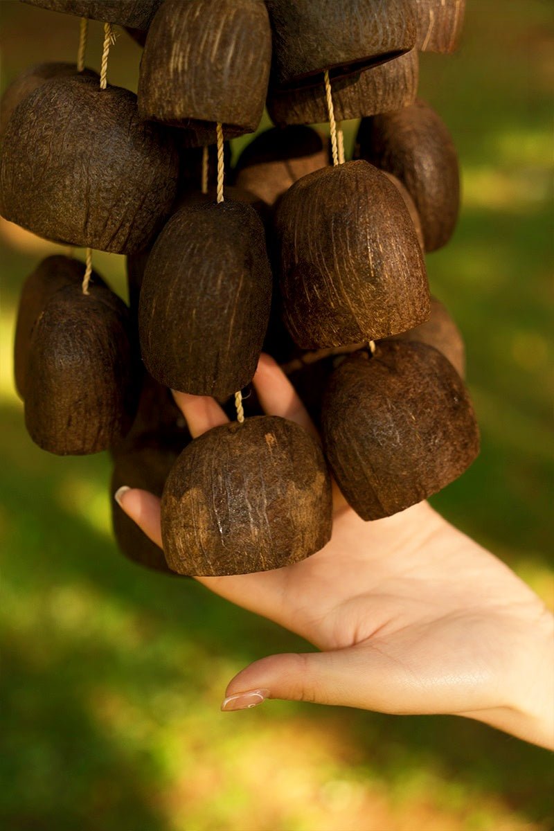 Coconuts hanging from a string held by a hand against a blurred natural background